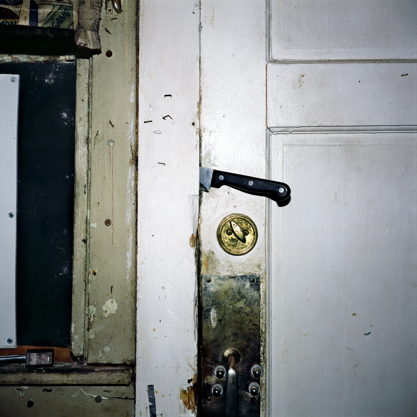 América #5, U.S.A. 2017