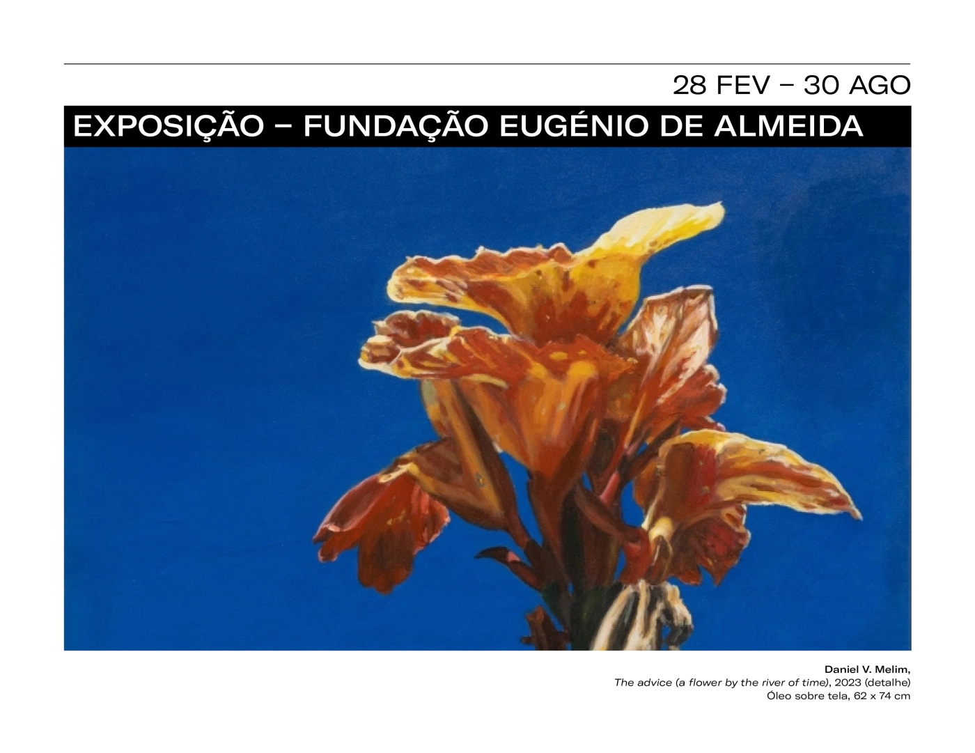 Visitas guiadas à exposição em Évora