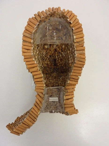 Untitled (Wall Piece Head #2)