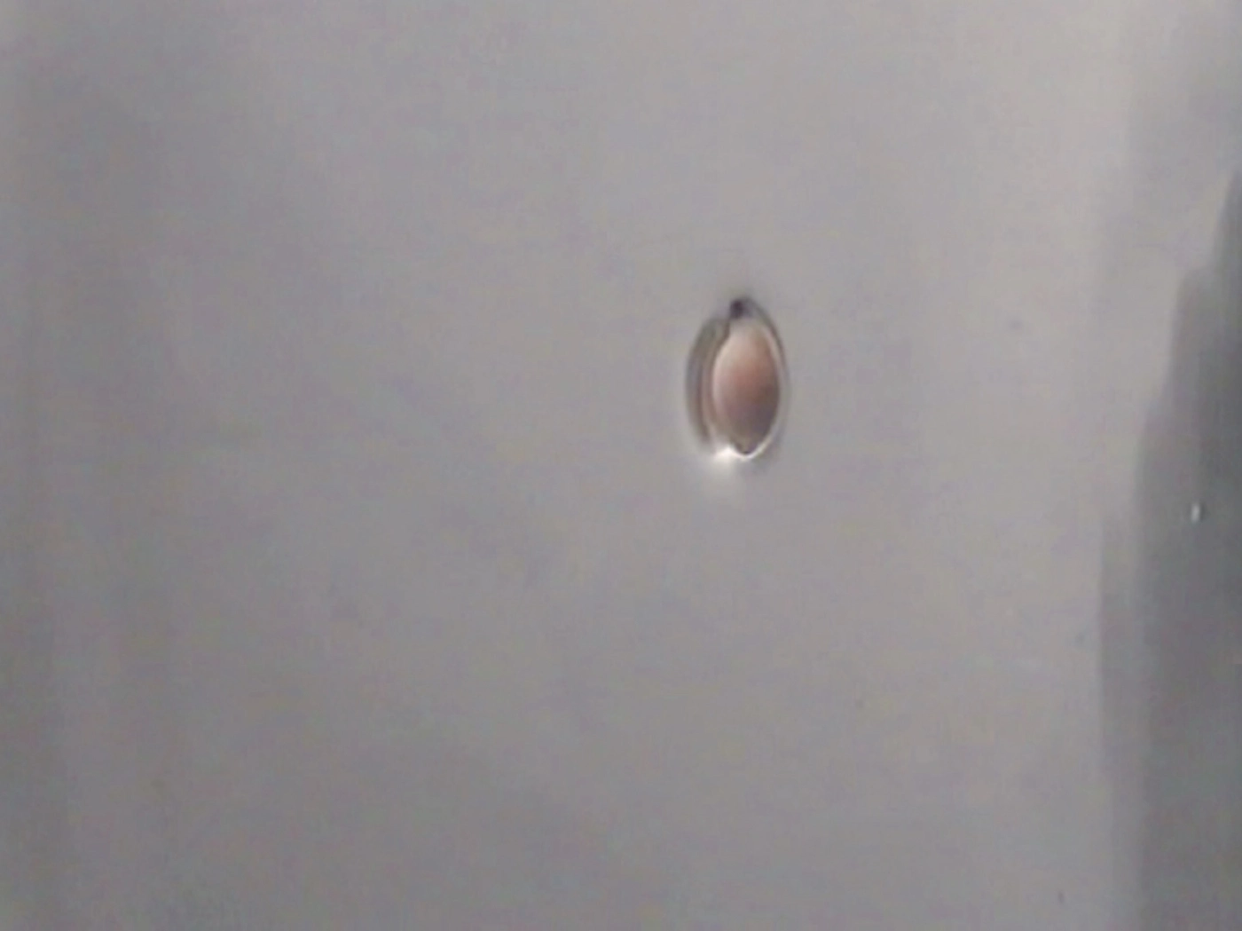 Quarto com vista sobre quarto
