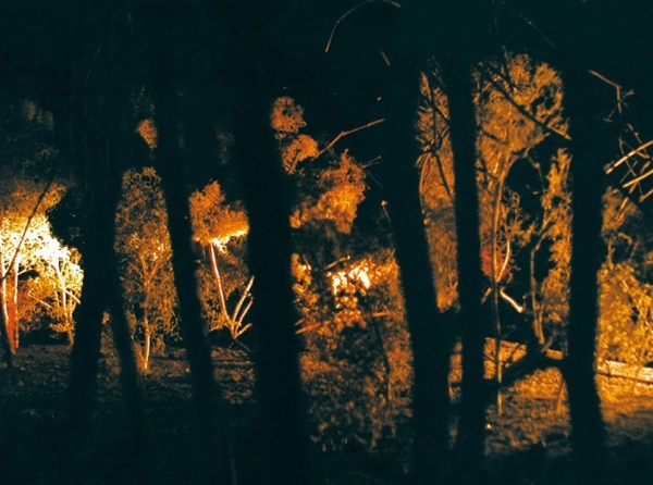 Jardim e floresta embutidos, 36