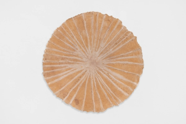 Sol