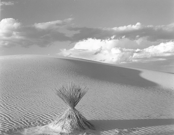 Deserto