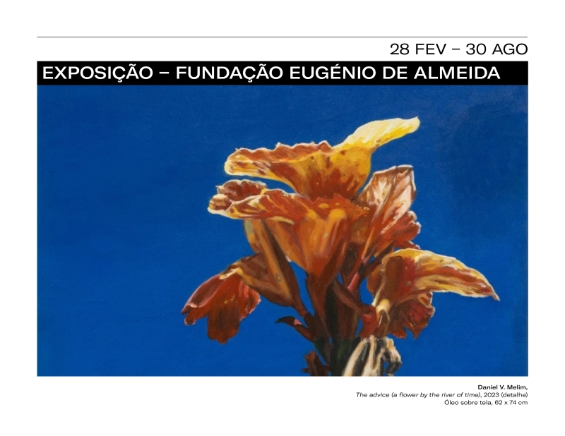 Fundação PLMJ em exposição na Fundação Eugénio de Almeida