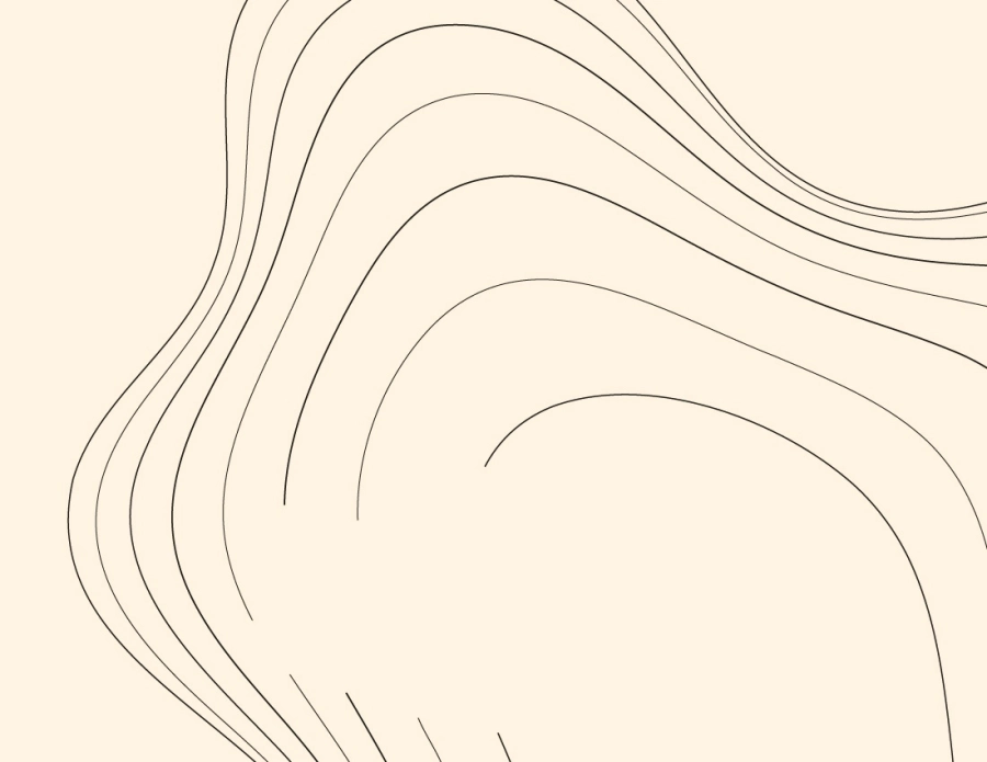 FPM #7 | cartografia da forma - obras da coleção da Fundação PLMJ